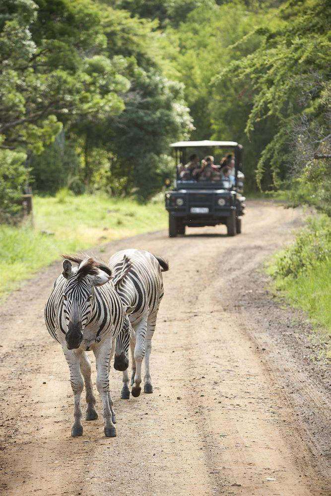 Zululand Safari Lodge Хлухлуве Экстерьер фото